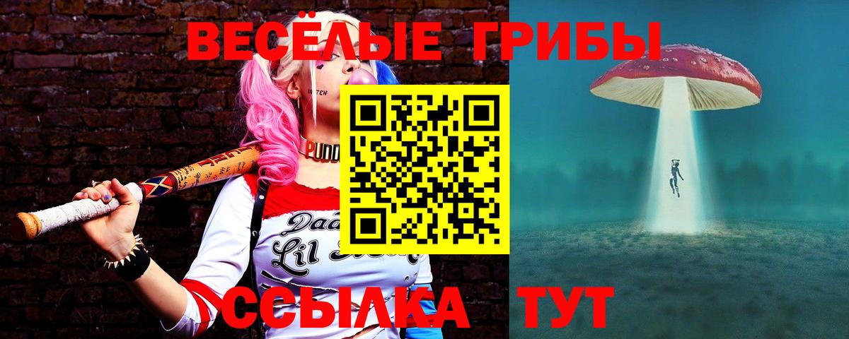цена наркотик  Вход с VPN  Лесной  Галлюциногенные грибы мухоморы 