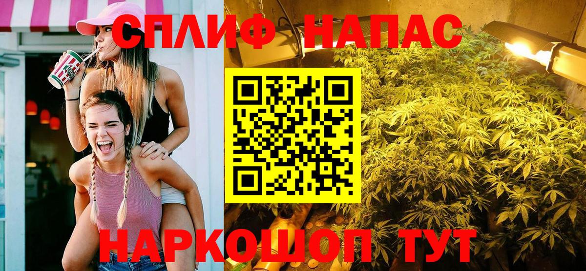 Бошки Шишки индика Лесной